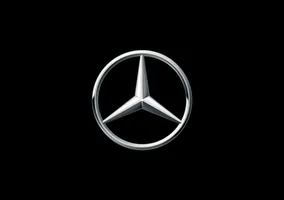 Mercedes-Benz E AMG W213 Duslintuvo antgalis A2134902407