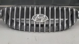 Hyundai Sonata Etupuskurin ylempi jäähdytinsäleikkö 