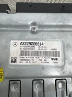 Mercedes-Benz S W222 Amplificatore A2229006514