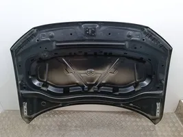 Volkswagen Tiguan Engine bonnet/hood 5NA823155