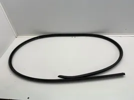 Citroen Jumpy Front door rubber seal 