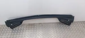 Citroen C4 II Rivestimento del tergicristallo 9687956480