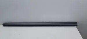 Renault Clio V Front door trim (molding) 808774699R