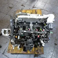 Peugeot 406 Motore 