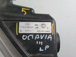 Skoda Octavia Mk3 (5E) Fendinebbia posteriore 