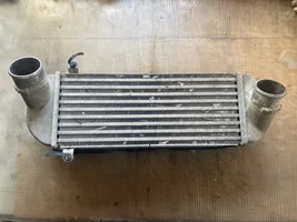 Hyundai Santa Fe Chłodnica powietrza doładowującego / Intercooler 282702F050