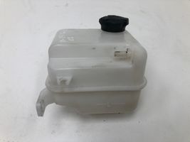 Hyundai ix35 Serbatoio di compensazione del liquido refrigerante/vaschetta 
