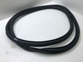 Opel Insignia A Front door rubber seal 