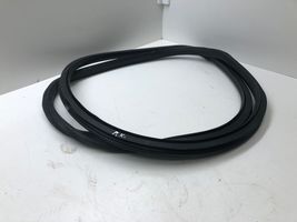 Opel Insignia A Front door rubber seal 