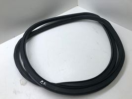 Opel Insignia A Front door rubber seal 