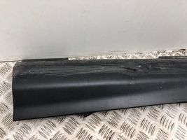 Ford Focus Sill/side skirt trim 