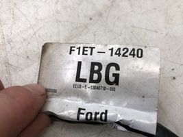 Ford Focus Rear door wiring loom F1ET14240