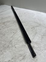 Toyota Avensis T250 Rivestimento portiera posteriore (modanatura) 