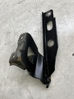 Audi A4 S4 B8 8K Cerniere del vano motore/cofano 8K0823302