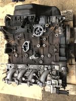 Ford Focus Motor AV4Q