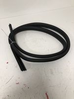 Ford Focus Rear door rubber seal (on body) 