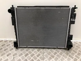 Hyundai i20 (BC3 BI3) Dzesēšanas šķidruma radiators 25310Q0300