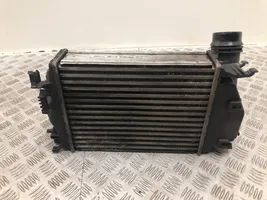 Nissan Qashqai Starpdzesētāja radiators 144614EA0A