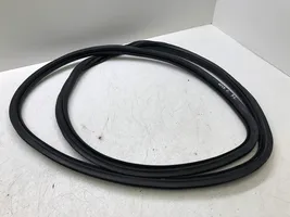 Volkswagen Golf VI Front door rubber seal 