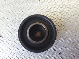 Opel Astra G Timing belt/chain tensioner 