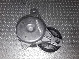 Citroen Xsara Picasso Tendicinghia generatore/alternatore 