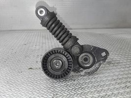 Citroen C5 Napinacz paska alternatora 9635966680