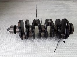 Seat Toledo I (1L) Crankshaft 