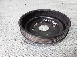 KIA Carnival Water pump pulley 