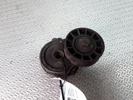 Peugeot 406 Napinacz paska alternatora 