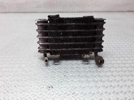 BMW 3 E46 Radiatore del carburatore (radiatore) 13322247411