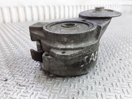 Saab 9-5 Napinacz paska alternatora 4898755