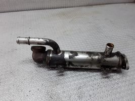 Volkswagen Bora EGR aušintuvas 