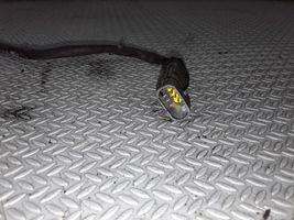 Renault Scenic I Sonde lambda 