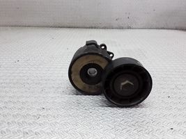 Fiat Punto (188) Napinacz paska alternatora 46819146