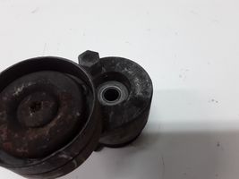 Renault Megane II Napinacz paska alternatora 072120628000