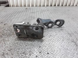 Ford C-MAX I Front door lower hinge 