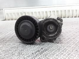 Volvo S40 Tendicinghia generatore/alternatore F23906902