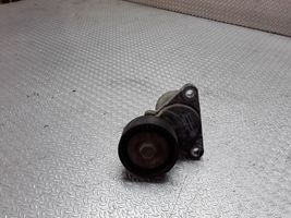 Hyundai Matrix Generator/alternator belt tensioner 2528127