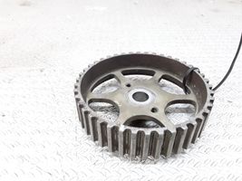 Citroen Berlingo Fuel pump gear (pulley) 