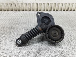 Peugeot 607 Napinacz paska alternatora 9635966680