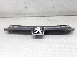 Peugeot 406 Oberes Gitter vorne 9616258477