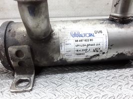 Citroen Berlingo Chłodnica spalin EGR 9646762280