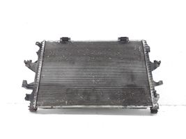 Volkswagen Multivan T5 Coolant radiator 