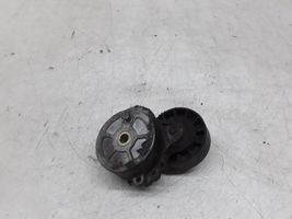 Citroen Berlingo Tendicinghia generatore/alternatore 