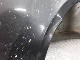 Peugeot 1007 Fender 