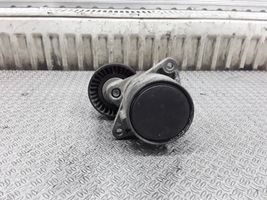 Mercedes-Benz C W203 Tendicinghia generatore/alternatore F231071