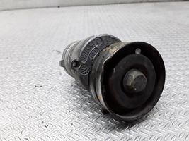 Audi A2 Napinacz paska alternatora 030145299C