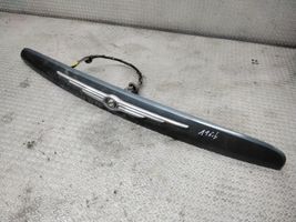 Chrysler Pacifica Trunk door license plate light bar 