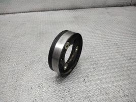 Renault Scenic I Water pump pulley 