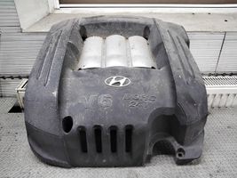 Hyundai Santa Fe Copri motore (rivestimento) 